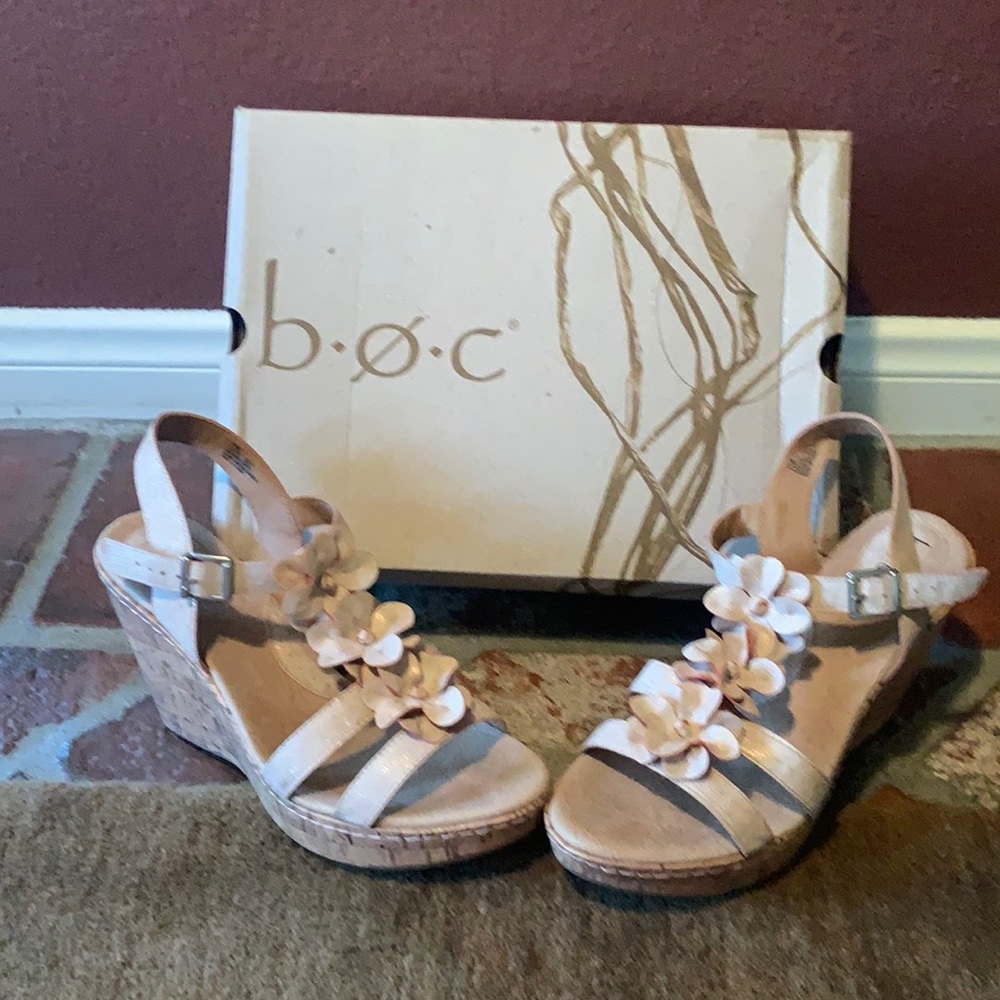 Born Concept Wedges